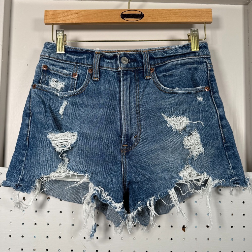 Abercrombie & Fitch Curve Love Mom Shorts Blue Denim Distressed High-Rise Size 2